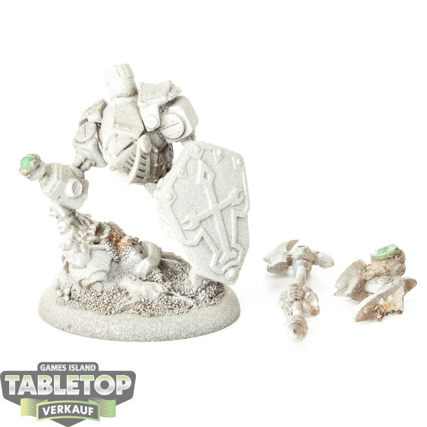Protectorate of Menoth - Devout - teilweise bemalt