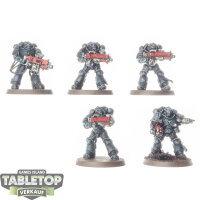 Space Marines - 5 Heavy Intercessor Squad - bemalt