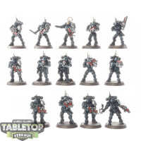 Deathwatch - 14 Infiltrator Squad - bemalt
