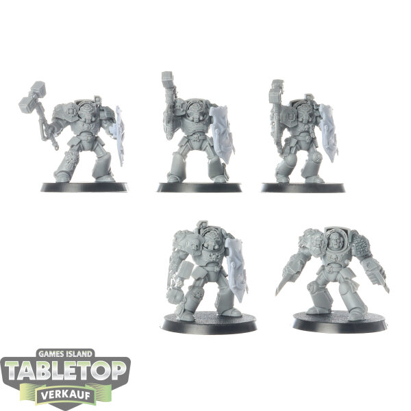 Black Templars - 5x Terminator Assault Squad - bemalt