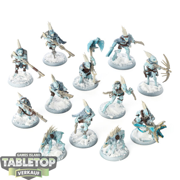Kill Team - 10 Kill Team: Farstalker Kinband - bemalt