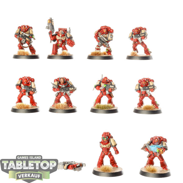 Blood Angels - 10 Tactical Squad klassisch - bemalt