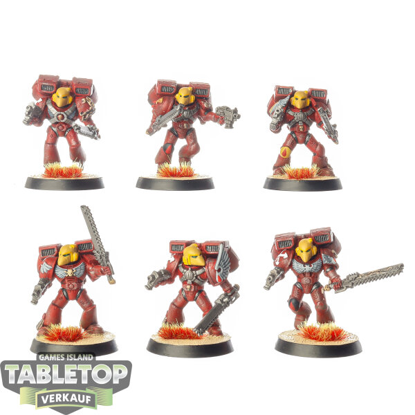 Blood Angels - 6 Assault Squad klassisch - bemalt