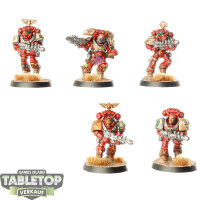 Blood Angels - 5 Sternguard Veteran Squad klassisch - bemalt