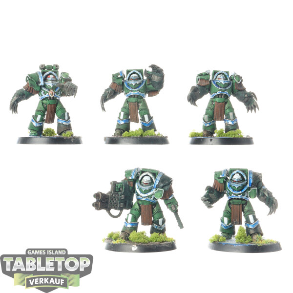 Horus Heresy - 5x Legion Cataphractii Terminator Squad - bemalt