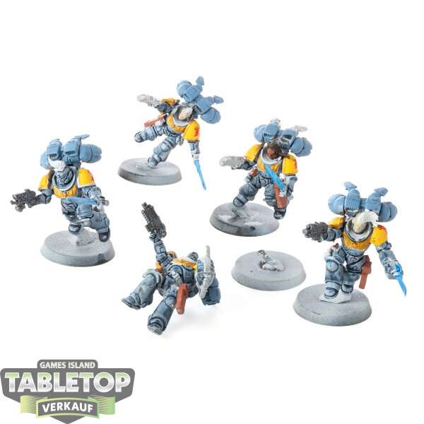 Space Wolves - 5 Jump Pack Intercessors - teilweise bemalt