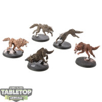 Space Wolves - 5 Fenrisian Wolves - teilweise bemalt