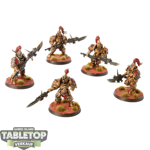 Adeptus Custodes - 5 Custodian Guard - bemalt