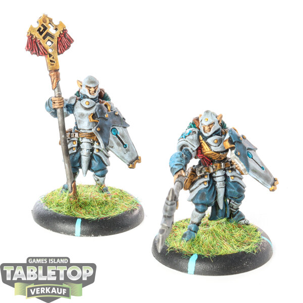 Retribution of Scyrah - Houseguard Halberdier Officer & Standard - bemalt