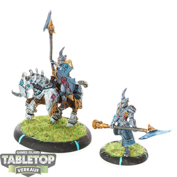 Retribution of Scyrah - Fane Knight Skeryth Issyen - bemalt