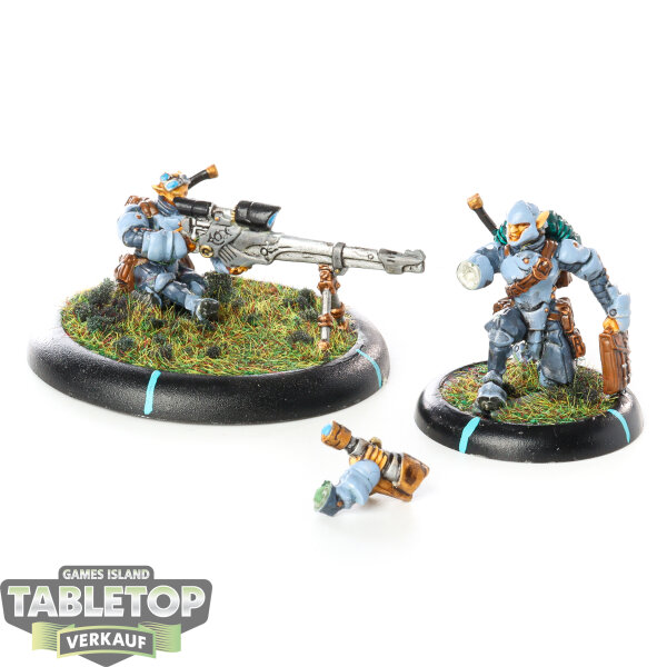 Retribution of Scyrah - Heavy Rifle Team - bemalt