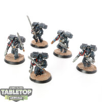 Raven Guard - 5 x Vanguard Veteran Squad - bemalt