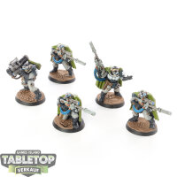 Raven Guard - 5 x Scouts klassisch - bemalt