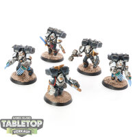 Raven Guard - 5 x Vanguard Veteran Squad - bemalt
