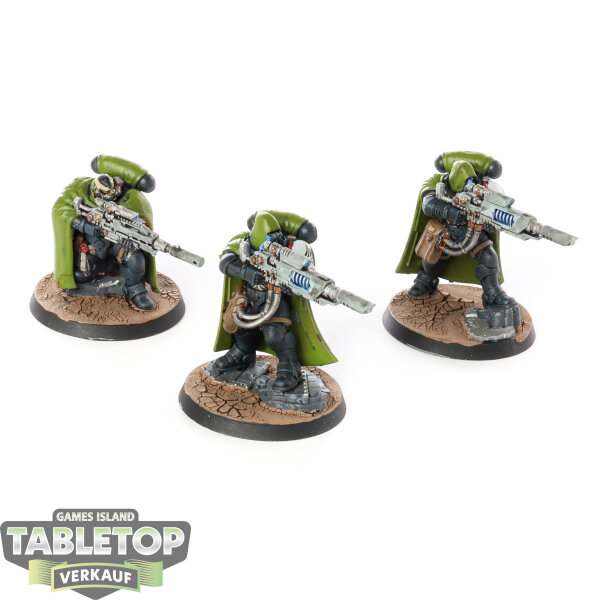 Raven Guard - 3 x Eliminators - bemalt