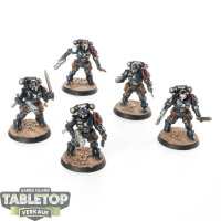 Raven Guard - 5 x Reiver Squad - bemalt