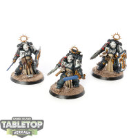 Raven Guard - 3 x Bladeguard Veteran Squad - bemalt