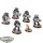 Raven Guard - 5 x Devastator Squad - bemalt