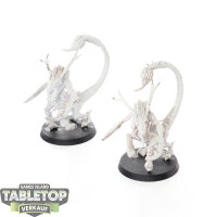 Hedonites of Slaanesh - 2x Fiend of Slaanesh klassisch -...