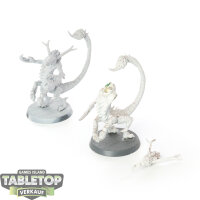 Hedonites of Slaanesh - 2x Fiend of Slaanesh klassisch -...