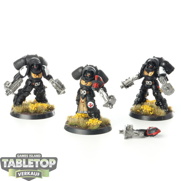 Black Templars - 3x Inceptor Squad - bemalt
