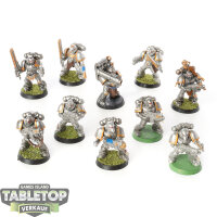 Space Wolves - 10 Grey Hunters klassisch - bemalt