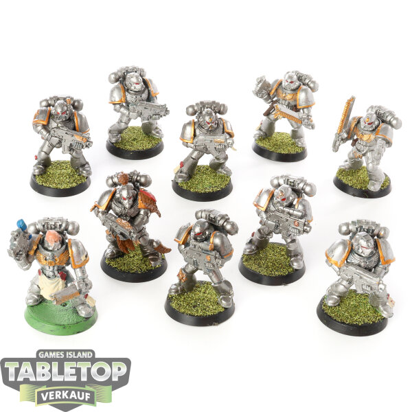 Space Wolves - 10 Grey Hunters klassisch - bemalt