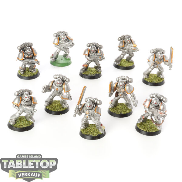Space Wolves - 10 Grey Hunters klassisch - bemalt