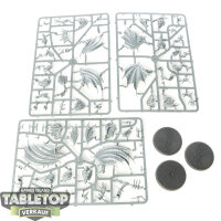 Flesh-eater Courts - 3 x Crypt Flayers - im Gussrahmen