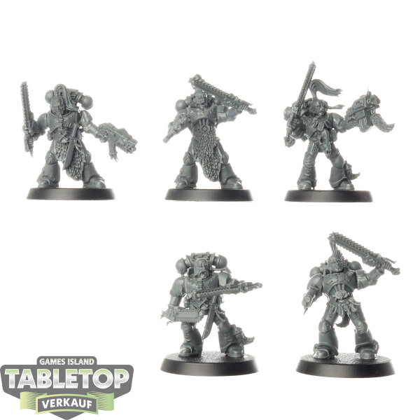 Space Wolves - 5 x Grey Hunters klassisch - unbemalt