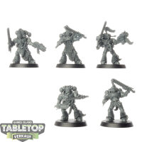 Space Wolves - 5 x Grey Hunters klassisch - unbemalt