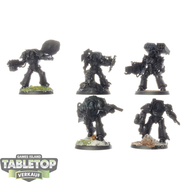 Space Wolves - 5 x Wolf Guard Terminators - teilweise bemalt