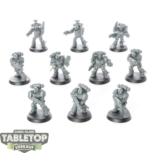 Imperial Fists - 10 Intercessors - unbemalt
