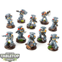 Space Wolves - 10 Grey Hunters - bemalt