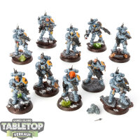 Space Wolves - 10 Infiltrator Squad - bemalt