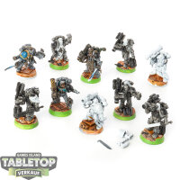 Space Wolves - 10 Grey Hunters klassisch  - teilweise bemalt
