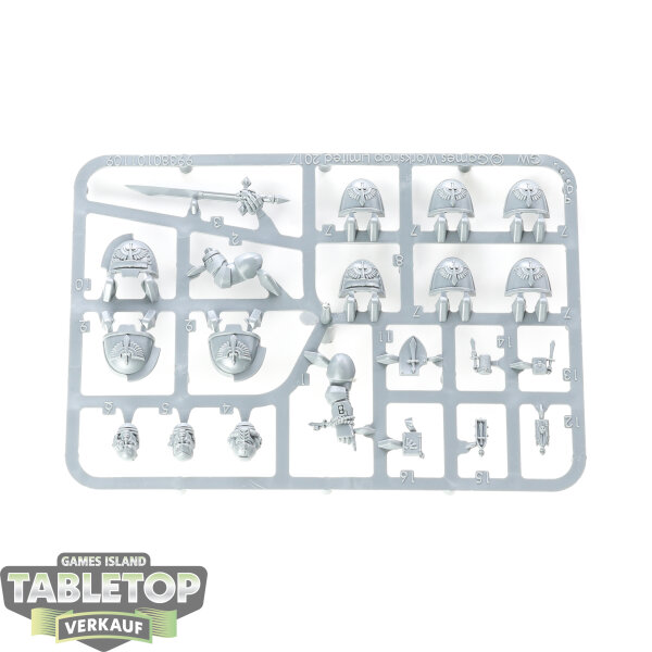 Dark Angels - Primaris Upgrade - im Gussrahmen