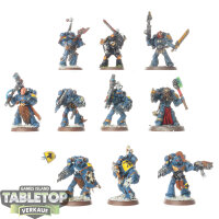 Space Wolves - 10 Grey Hunters classic - bemalt