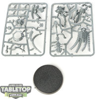 Necrons - Cryptek - im Gussrahmen