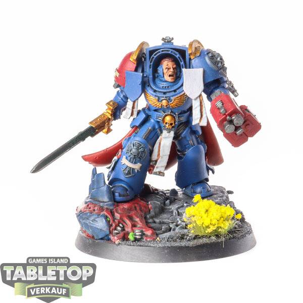 Space Marines - Captain in Terminator Armour - bemalt