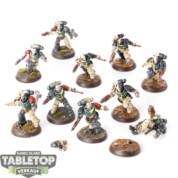 Space Marines - 10x Assault Intercessor Squad - bemalt