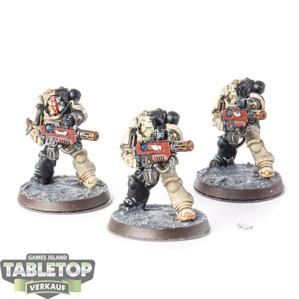 Space Marines - 3x Primaris Eradicators - bemalt