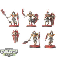 Necrons - 5 Lychguard - bemalt