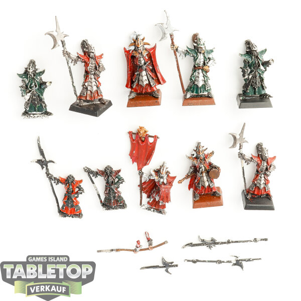 Dark Elves - 10 Black Guard klassisch - teilweise bemalt