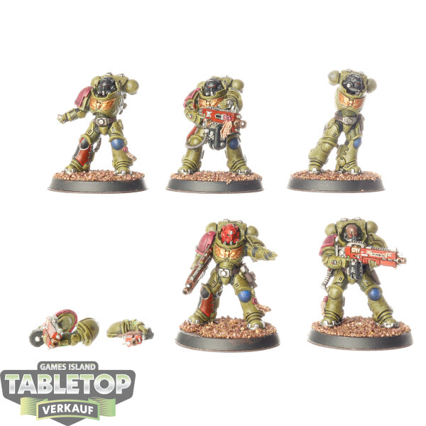 Space Marines - 5 x Heavy Intercessor Squad - bemalt