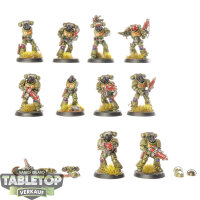 Space Marines - 10 x Intercessors - bemalt