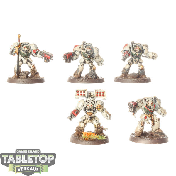 Dark Angels - 5x Deathwing Terminators klassisch - bemalt