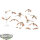 Tyraniden - 10 Gargoyle Brood - bemalt