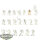 Ossiarch Bonereapers - 20x Mortek Guard - teilweise bemalt
