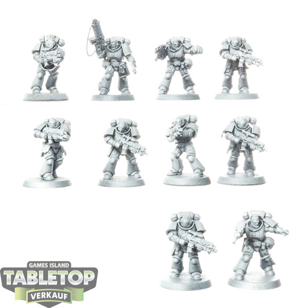 Imperial Fists - 10 x Intercessors - teilweise bemalt